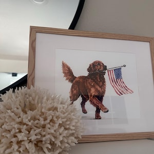 Amy ha aggiunto una foto del proprio acquisto