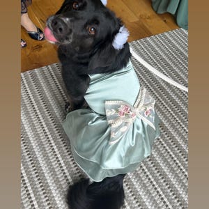 Haley hat ein Foto des gekauften Artikels hinzugefügt