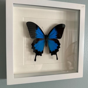 KS ha añadido una foto de su compra