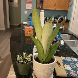 Chris added a photo of their purchase