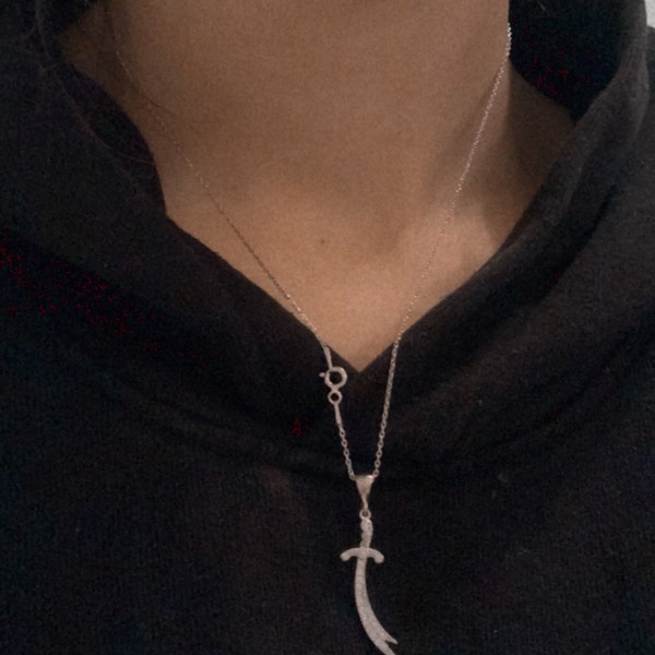 Adult Men's Big Daddy Dollar Necklace main image 1