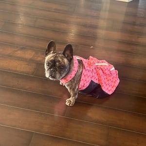 Paige ha añadido una foto de su compra