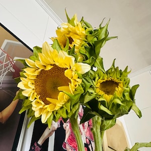 Blair added a photo of their purchase