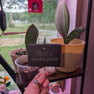 Kathleen added a photo of their purchase