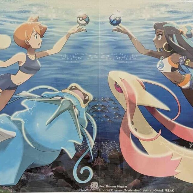 Lot De 6 Affiches Pokémon Center – Dresseurs : Léon, Erika, Raihan, Piers, Nessa, Serena
