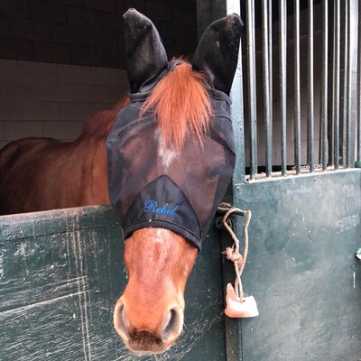 Cashel Quiet Ride Fly Mask With No Ears Personalized-custom - Etsy