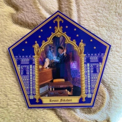 Umbridge's Lenticular Cat Plates Kit - Etsy