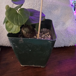 Christine added a photo of their purchase