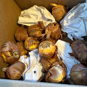 Beverly added a photo of their purchase