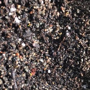 Chelsea added a photo of their purchase