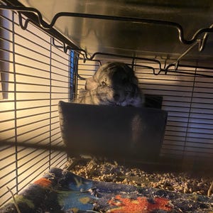 Maggie added a photo of their purchase