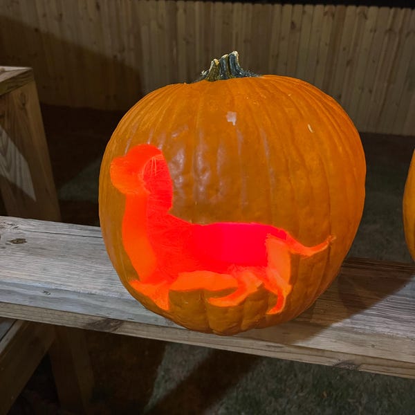 Dachshund Silhouette Series Printable Pumpkin Carving Pattern Weiner Iap 600x600.6530765840 44l71e60