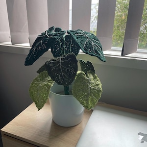 Julie added a photo of their purchase