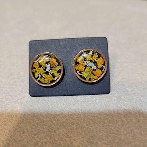 D'arcy added a photo of their purchase