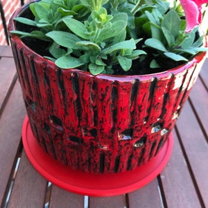 Peter added a photo of their purchase
