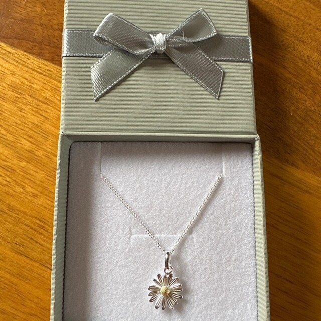 ■ENGBROX■ silver925 daisy bijou necklace EBNL24024 Amazon.com: Beixiter 925 Sterling Silver Tiny Daisy Flower