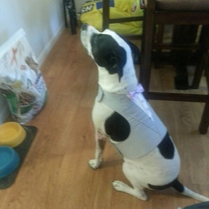 Colleen added a photo of their purchase