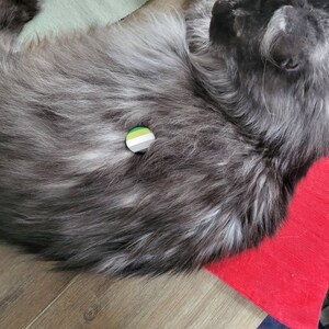 Nox added a photo of their purchase