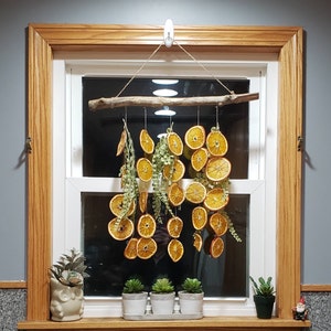 Elaina ha añadido una foto de su compra