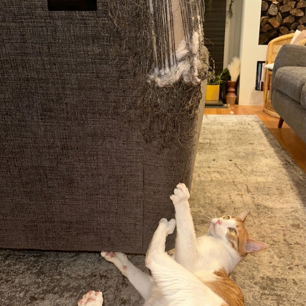 Large Personalized Gallery Wall Artist Placards - Black Wall Placards ...