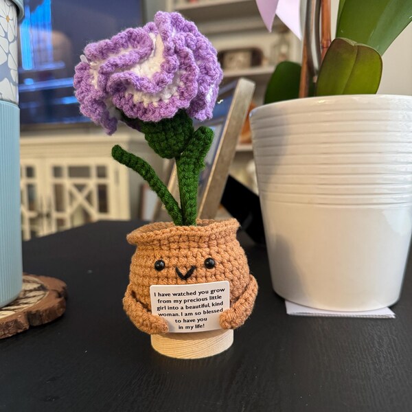 Handmade Crochet Emotional Support Plants Caring Gifts,custom Crochet ...