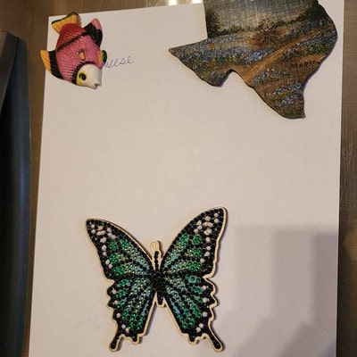 Buy Bulk Seashells For Crafts - Shells In Bulk - California Seashell - Foto 7