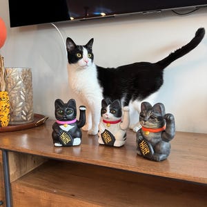 Your Real Cat From Reference — Hand Painted Lucky Cat — 7