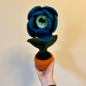 Evelyn ha añadido una foto de su compra