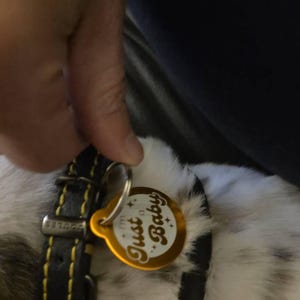 Megan added a photo of their purchase