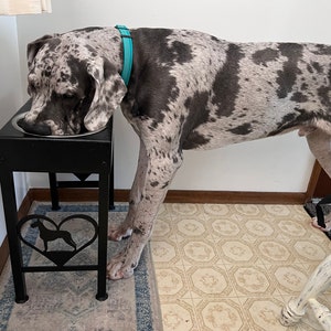 alta added a photo of their purchase