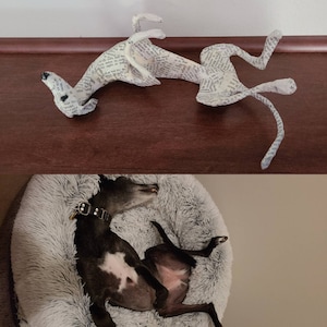 Karina さんが購入した商品の写真を追加しました
