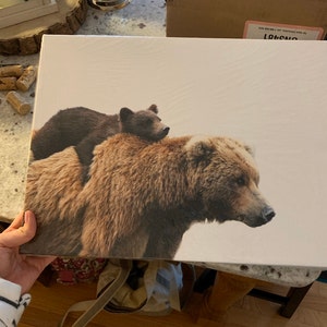 Kathryn added a photo of their purchase