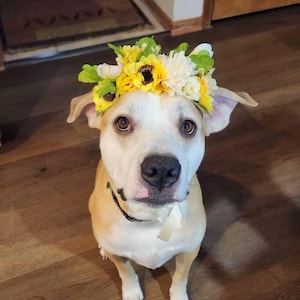 Amanda adicionaram uma foto da sua compra