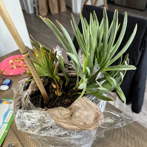 Corey a ajouté une photo de son achat