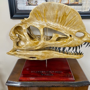 Dilophosaurus skull par G.Zeus Téléchargez gratuitement un modèle STL Dilophosaurus skull par G.Zeus Téléchargez gratuitement un modèle STL