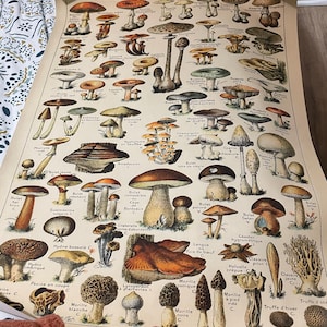 Marjorie heeft een foto van de aankoop toegevoegd