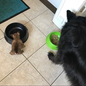 Ruth added a photo of their purchase
