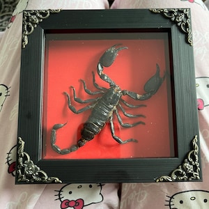 anya added a photo of their purchase