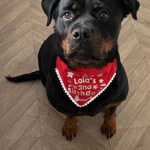 Trudy added a photo of their purchase