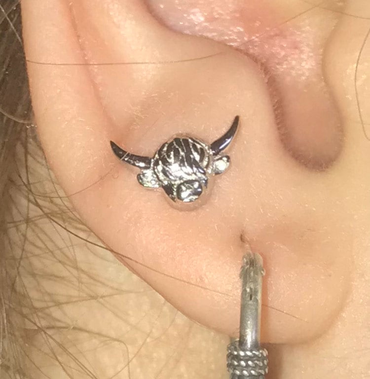 Highland Cow Stud Earrings in Sterling Silver, Cow Stud, Bull Earrings, Petite Earrings, Small Cow Stud, Scotland, Scottish