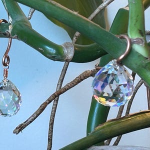 Anne added a photo of their purchase