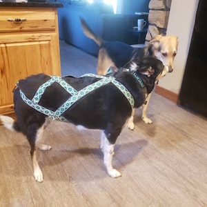 Jade さんが購入した商品の写真を追加しました