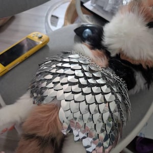 Kaitlyn added a photo of their purchase