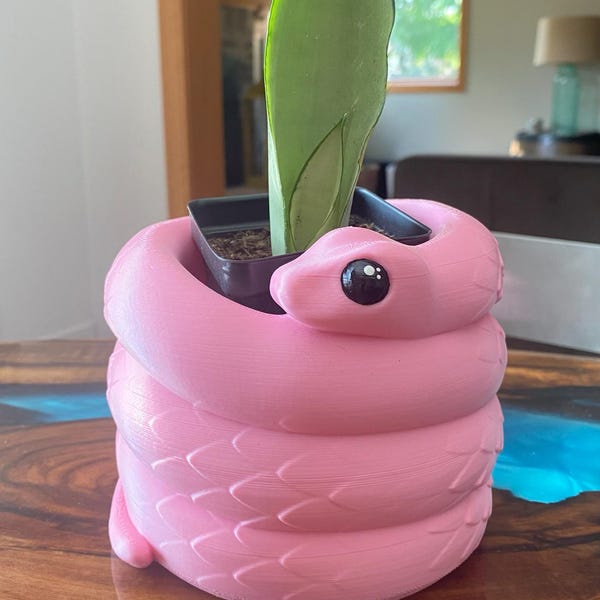 Snake Planter Snake Plant Pot With Drainage Cute Snake Planter Perfect