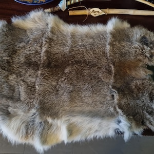 Kerry added a photo of their purchase