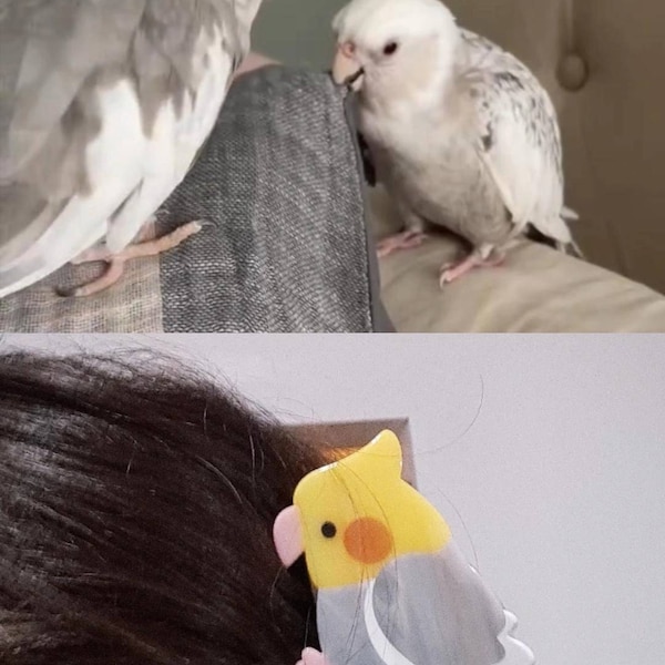 Lovebird Ripeness Chart Poster Etsy