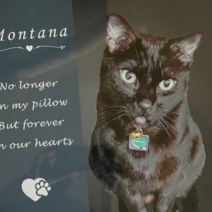 Sergio added a photo of their purchase