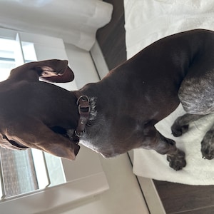 Diana a ajouté une photo de son achat