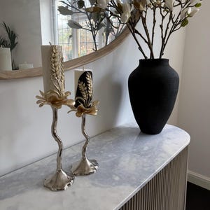 nuzhat added a photo of their purchase