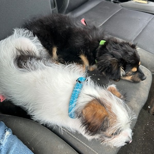 Amanda added a photo of their purchase
